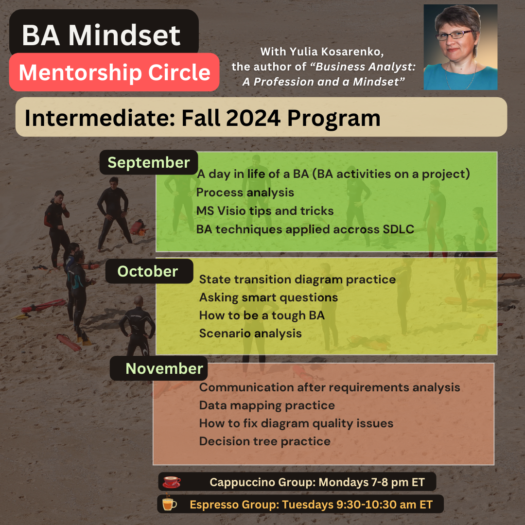 BA Mindset Mentorship Circle (Video Library)