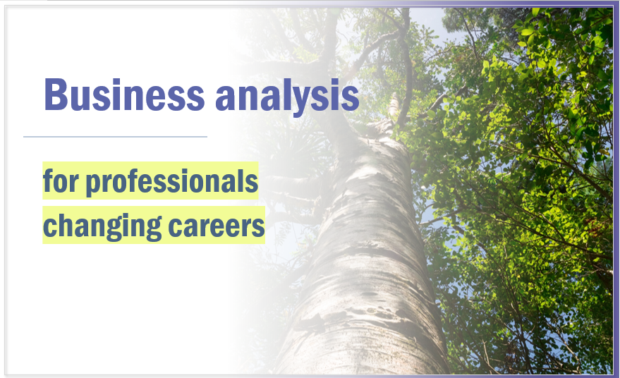 Business Analysis for Professionals Changing Careers - Video Course